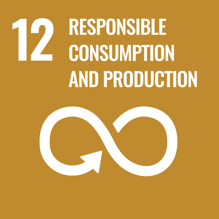 12. Responsible Consumption and Production Icon